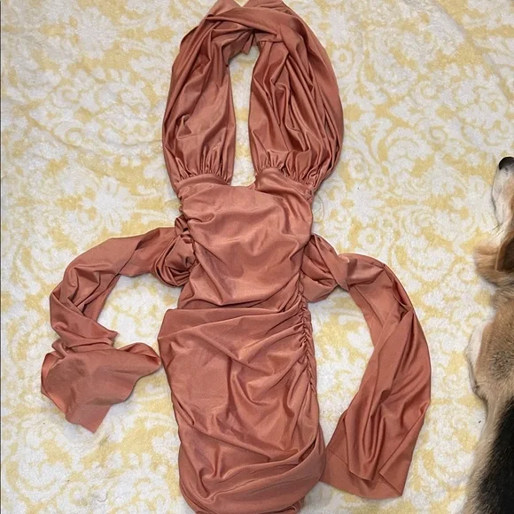 Tiger Mist Rust Mini Dress - Picture 1 of 3